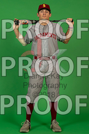10_  Baseball Social Media 9_ copy