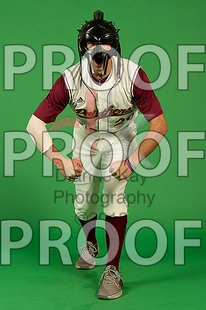 183_  Baseball Social Media 103_ copy