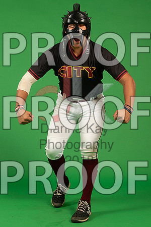 2_  Baseball Social Media 98_ copy