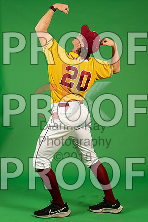 70_  Baseball Social Media 240_ copy