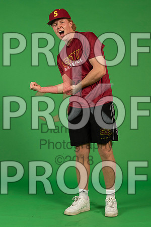 66_  Baseball Social Media 246_ copy