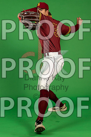 166_  Baseball Social Media 123_ copy