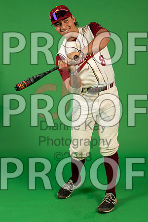 189_  Baseball Social Media 0_ copy