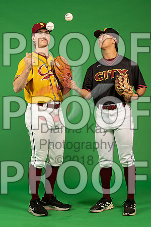 105_  Baseball Social Media 205_ copy