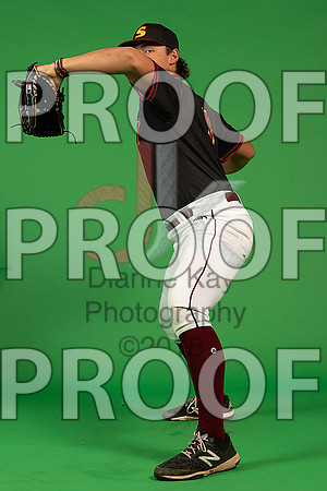 129_  Baseball Social Media 164_ copy