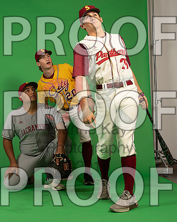 141_  Baseball Social Media 151_ copy