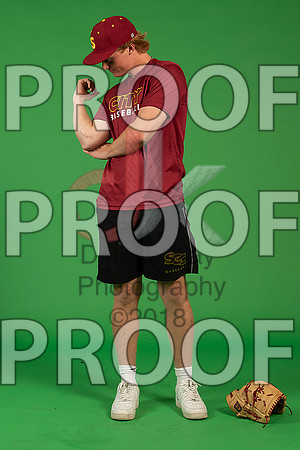 67_  Baseball Social Media 244_ copy