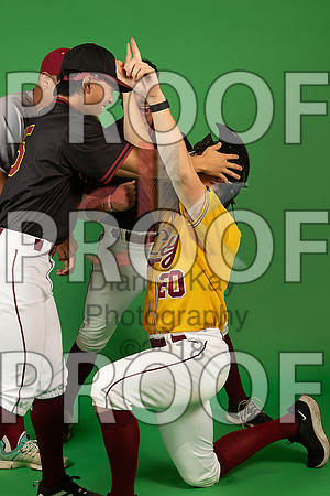 100_  Baseball Social Media 211_ copy