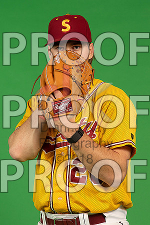 163_  Baseball Social Media 128_ copy