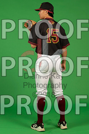 75_  Baseball Social Media 236_ copy
