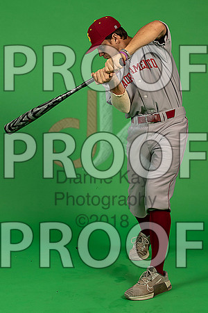 170_  Baseball Social Media 12_ copy