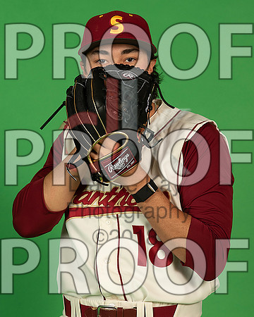 64_  Baseball Social Media 25_ copy