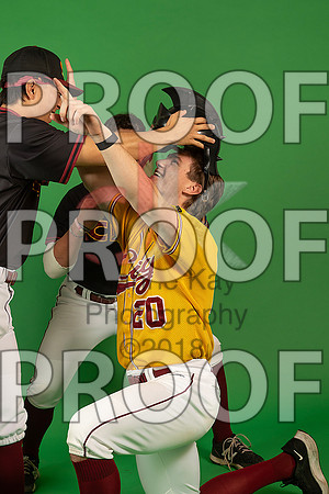 102_  Baseball Social Media 209_ copy