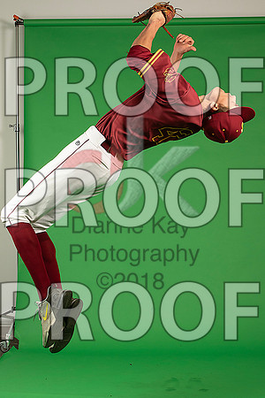 114_  Baseball Social Media 196_ copy