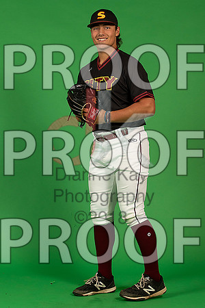 123_  Baseball Social Media 171_ copy