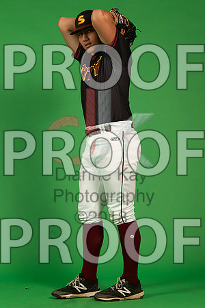 133_  Baseball Social Media 159_ copy