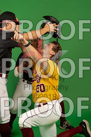 103_  Baseball Social Media 208_ copy
