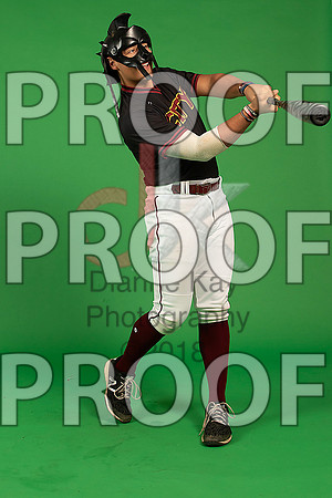 185_  Baseball Social Media 101_ copy