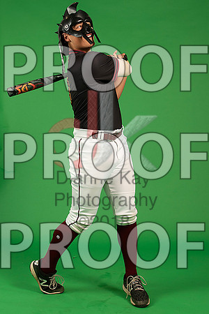 186_  Baseball Social Media 100_ copy