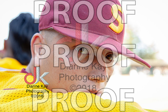 2018_05_27_SCC Baseball_vs_Delta_State Finals_Game 2_5.28.2018_27-18