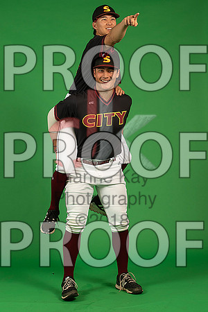 109_  Baseball Social Media 200_ copy