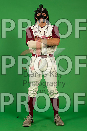 181_  Baseball Social Media 105_ copy