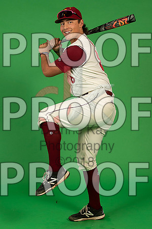 61_  Baseball Social Media 3_ copy
