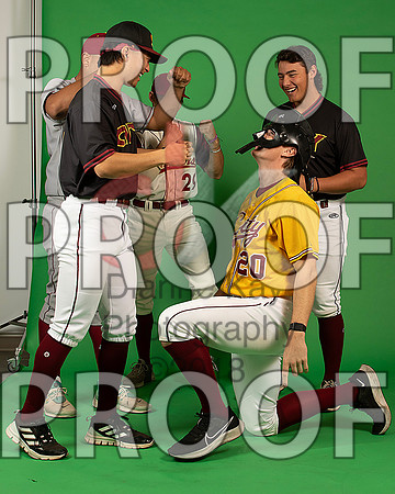 88_  Baseball Social Media 222_ copy
