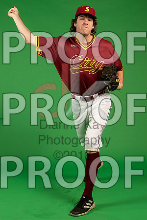 178_  Baseball Social Media 109_ copy