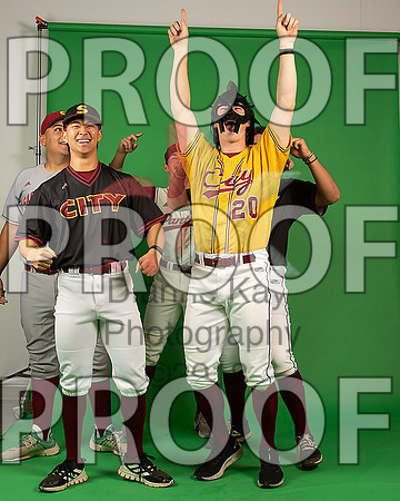 86_  Baseball Social Media 224_ copy