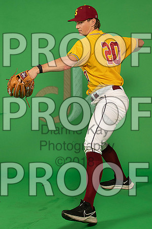156_  Baseball Social Media 137_ copy
