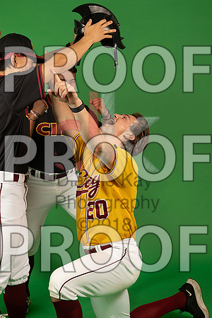 104_  Baseball Social Media 207_ copy