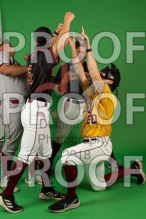 98_  Baseball Social Media 213_ copy