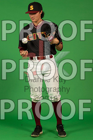 77_  Baseball Social Media 233_ copy