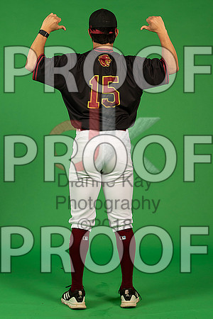 74_  Baseball Social Media 237_ copy