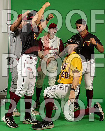 89_  Baseball Social Media 221_ copy