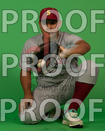 149_  Baseball Social Media 144_ copy