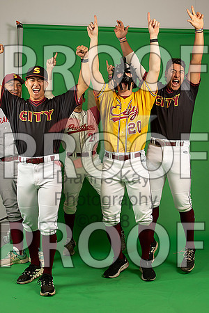 85_  Baseball Social Media 225_ copy