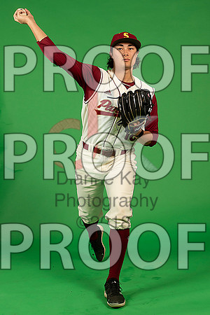 81_  Baseball Social Media 23_ copy