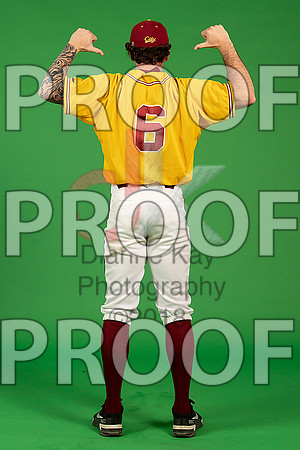 79_  Baseball Social Media 231_ copy