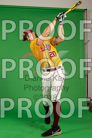 43_  Baseball Social Media 52_ copy