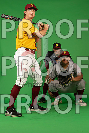 140_  Baseball Social Media 152_ copy