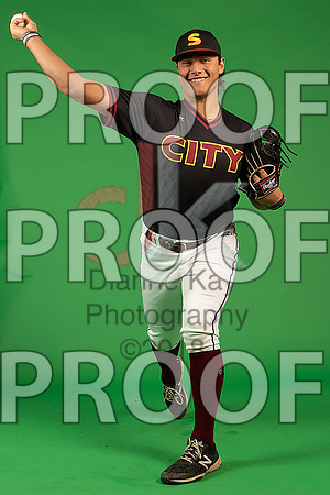 124_  Baseball Social Media 170_ copy