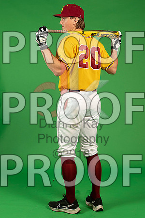 47_  Baseball Social Media 49_ copy