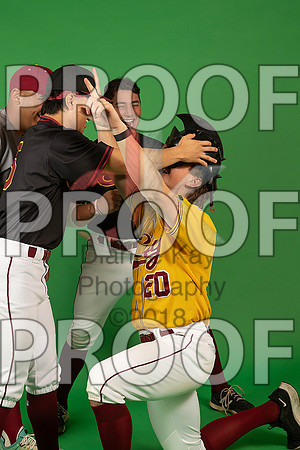 101_  Baseball Social Media 210_ copy