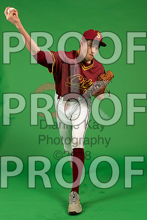 50_  Baseball Social Media 46_ copy