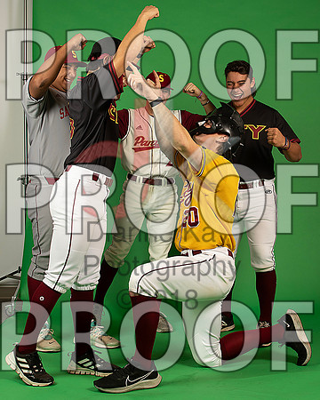 90_  Baseball Social Media 220_ copy