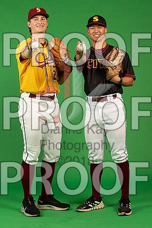 106_  Baseball Social Media 203_ copy