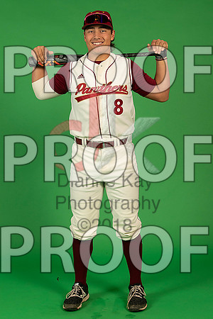 54_  Baseball Social Media 4_ copy