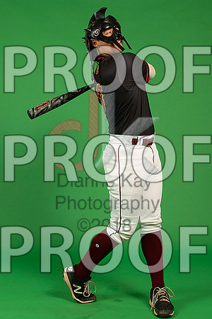184_  Baseball Social Media 102_ copy